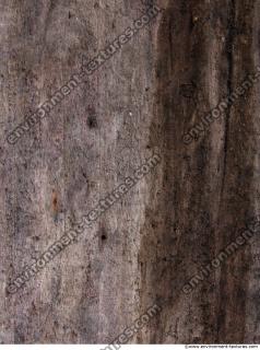 Wood Bare 0014